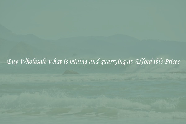 Buy Wholesale what is mining and quarrying at Affordable Prices