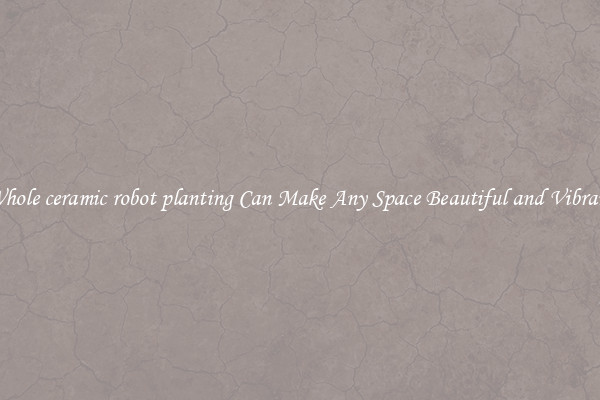 Whole ceramic robot planting Can Make Any Space Beautiful and Vibrant