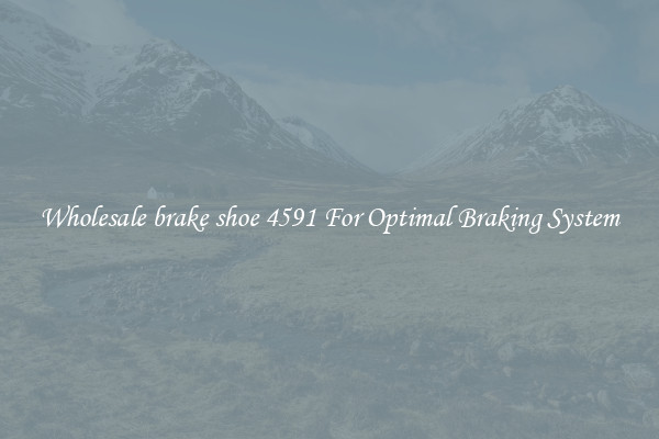 Wholesale brake shoe 4591 For Optimal Braking System