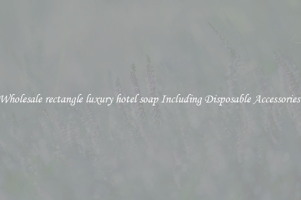 Wholesale rectangle luxury hotel soap Including Disposable Accessories 