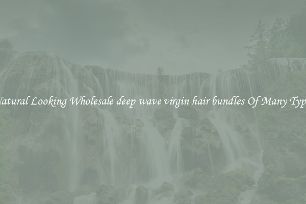 Natural Looking Wholesale deep wave virgin hair bundles Of Many Types