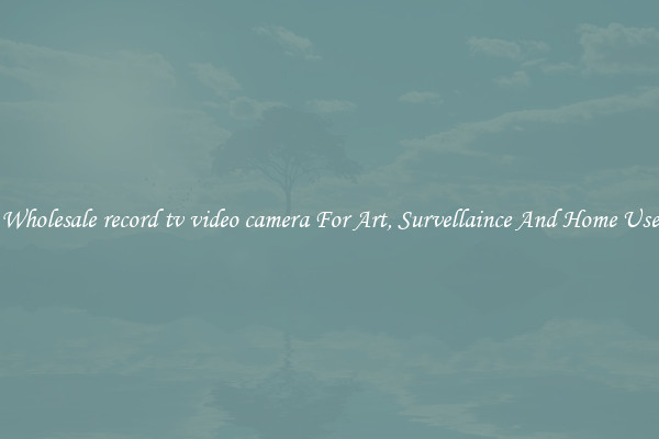 Wholesale record tv video camera For Art, Survellaince And Home Use