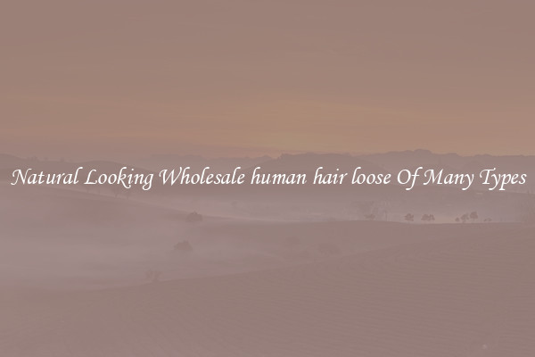 Natural Looking Wholesale human hair loose Of Many Types
