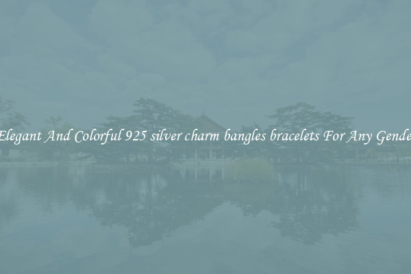 Elegant And Colorful 925 silver charm bangles bracelets For Any Gender