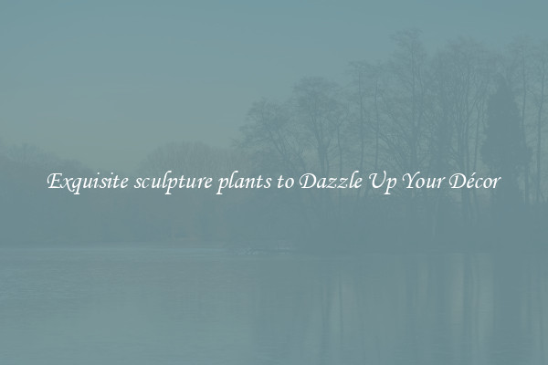 Exquisite sculpture plants to Dazzle Up Your Décor 