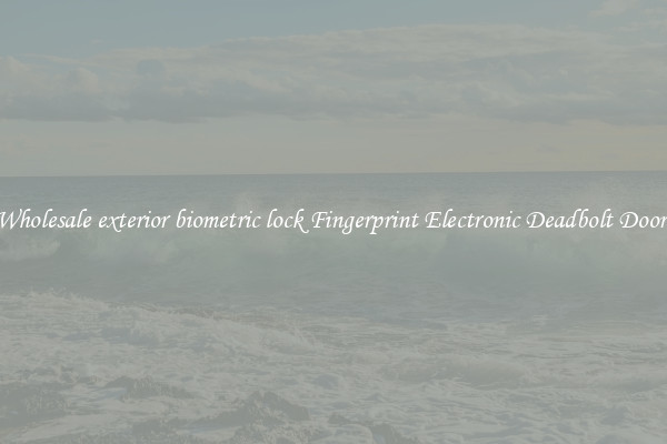 Wholesale exterior biometric lock Fingerprint Electronic Deadbolt Door 