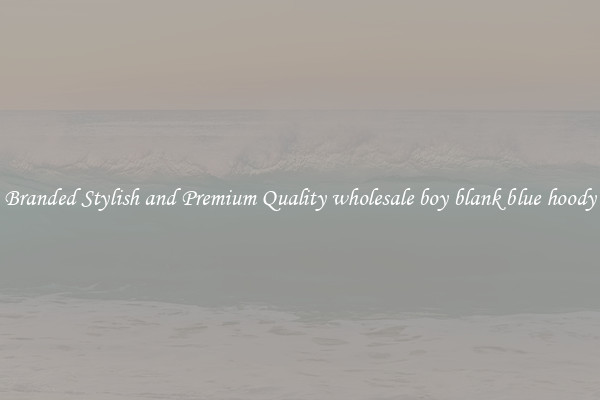 Branded Stylish and Premium Quality wholesale boy blank blue hoody