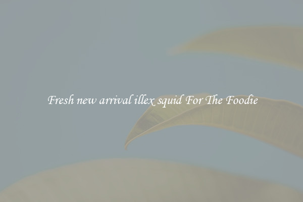 Fresh new arrival illex squid For The Foodie