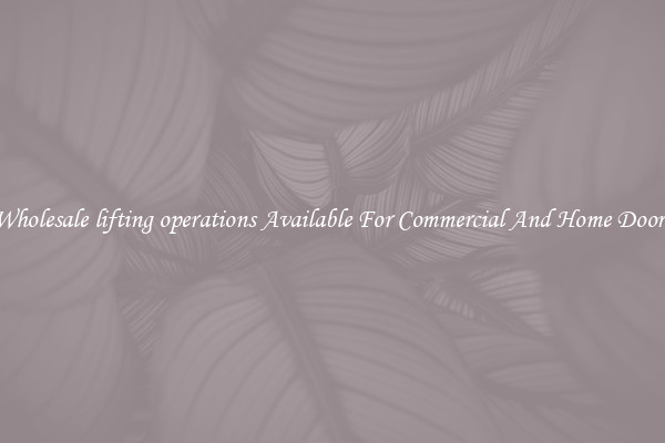 Wholesale lifting operations Available For Commercial And Home Doors