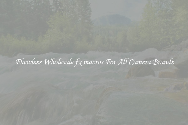 Flawless Wholesale fx macros For All Camera Brands