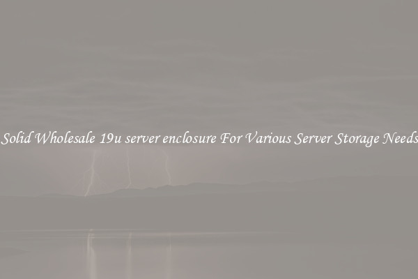 Solid Wholesale 19u server enclosure For Various Server Storage Needs